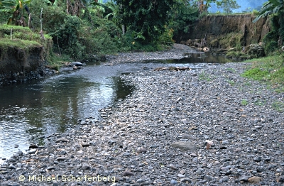 Fluß in Bali