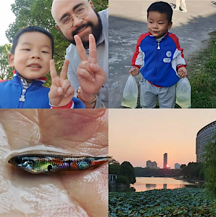 Guppies fangen mit meinem chinesischen Neffen