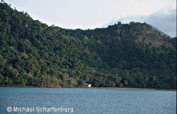 Die Wälder von Koh Chang gehören zu den schönsten in Süd Ost Asien