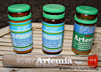 Von der Firma Dohse bekommt man auch kleine Mengen Artemiaeier sowie viel Zubehör für die Artemiazucht