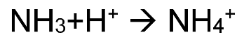 Chemische Gleichung