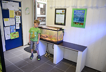 Der neue Platz für die Aquarien der Kinder- und Jugendgruppe