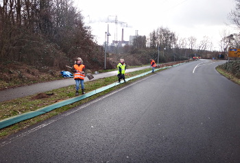 Wir helfen beim Krötenzaun